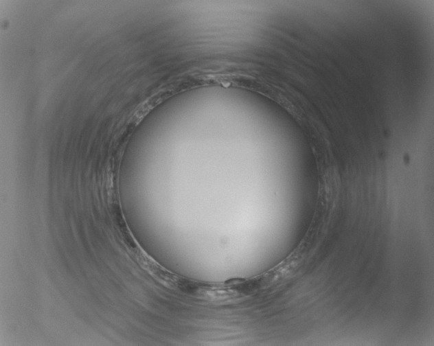 X0000052570372200507010851