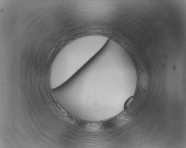 X0000052570373200507010851