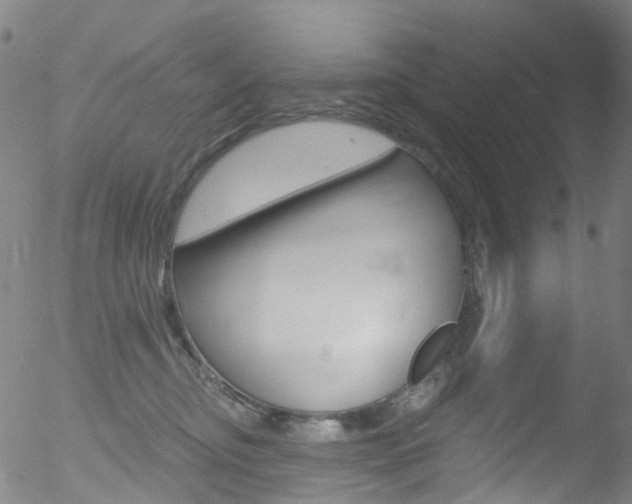 X0000052570374200507010851