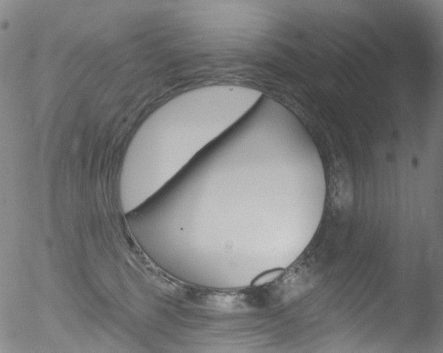 X0000052570375200507010851