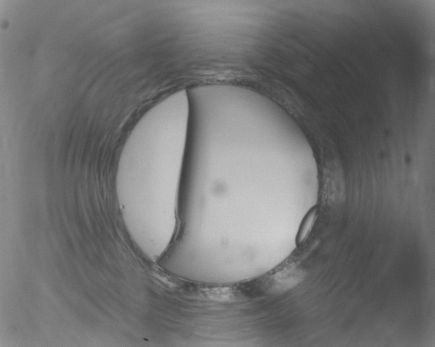 X0000052570377200507010851