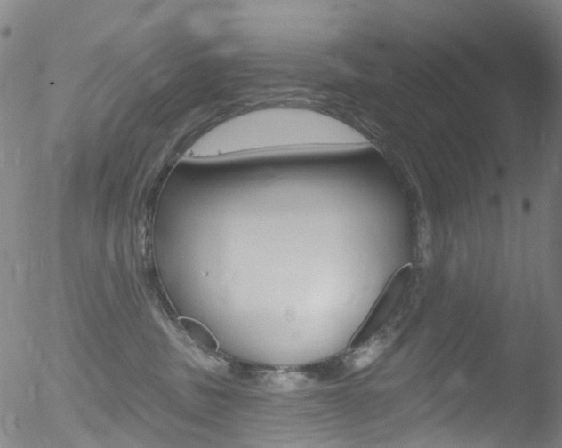 X0000052570379200507010851