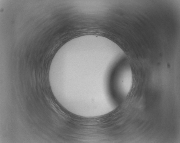 X0000052570380200507010851