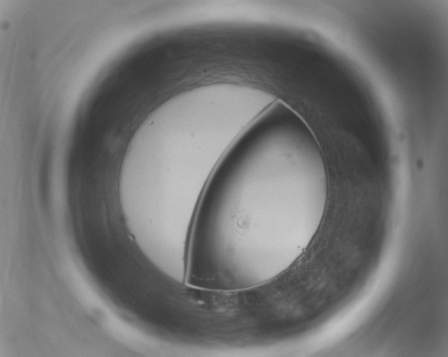 X0000052570382200507010851