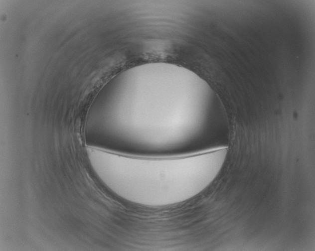 X0000052570616200507010846