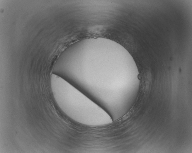 X0000052570706200507010845