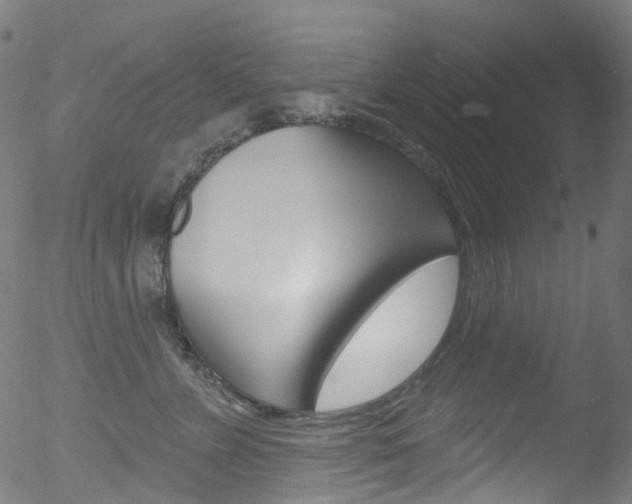 X0000052570715200507010845