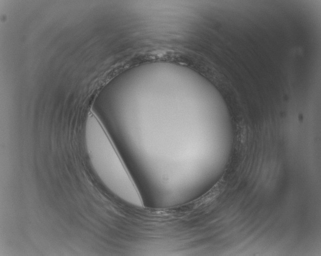 X0000052570754200507010844