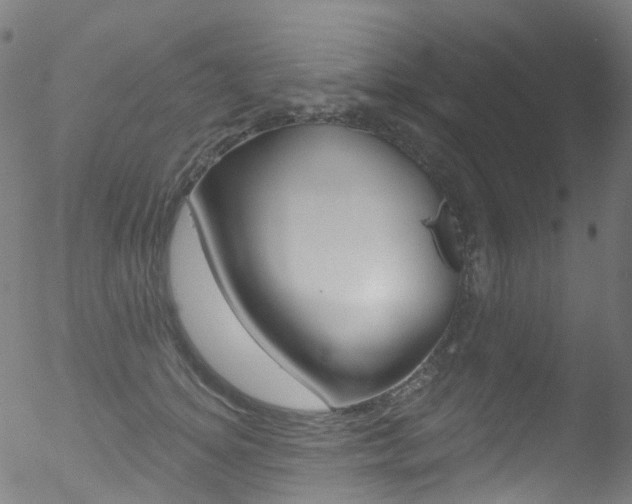 X0000052570756200507010844