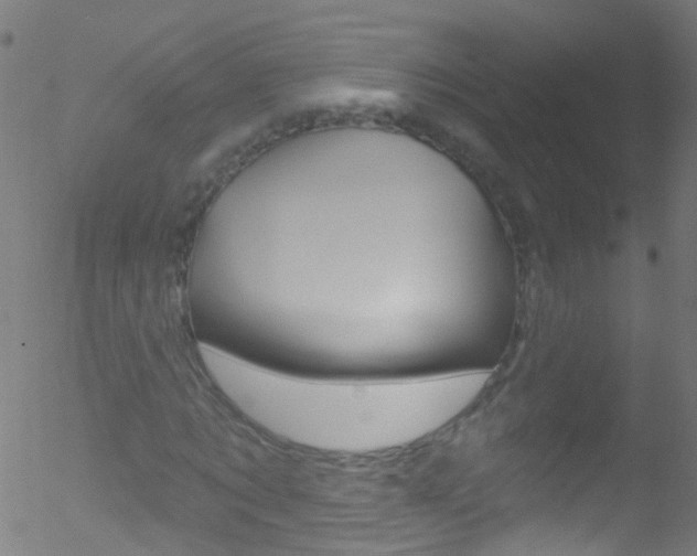 X0000052570869200507010842