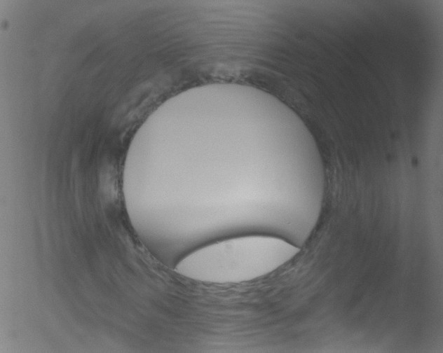 X0000052570962200507010841
