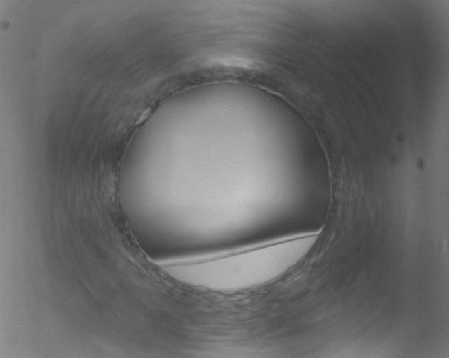 X0000052571061200507010839