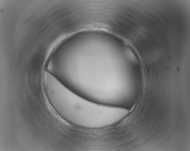 X0000052571096200507010838
