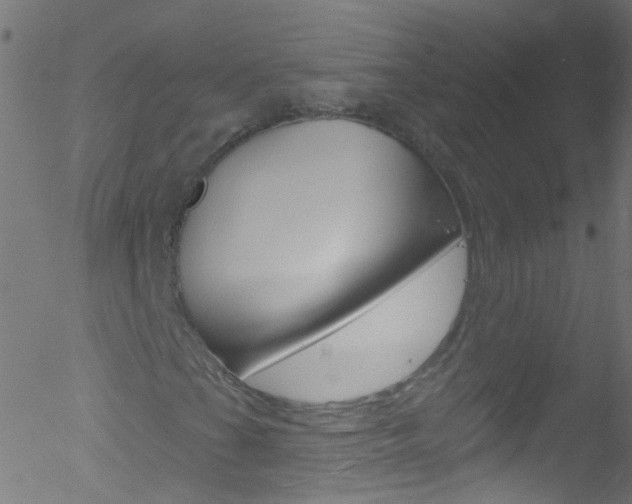 X0000052571201200507010836