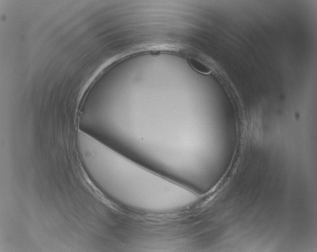 X0000052571236200507010836