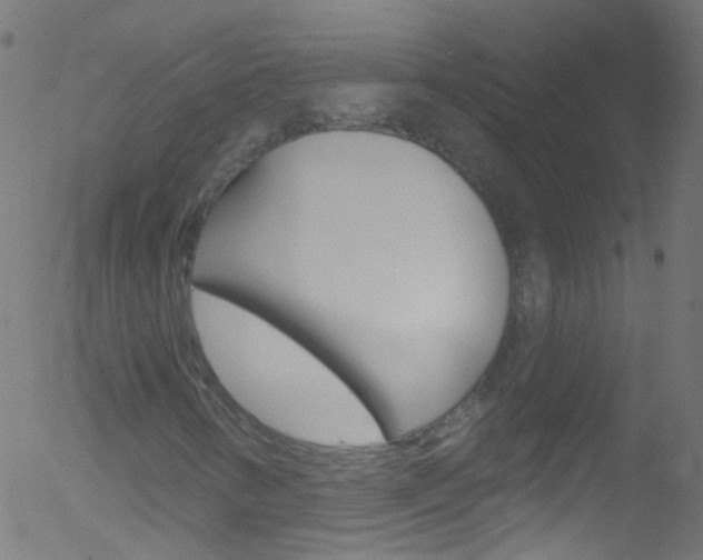 X0000052571346200507010834