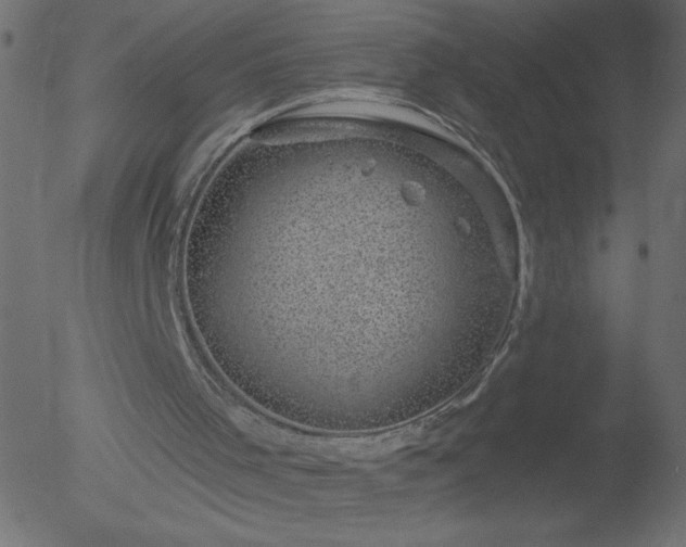 X0000052570001200507011232