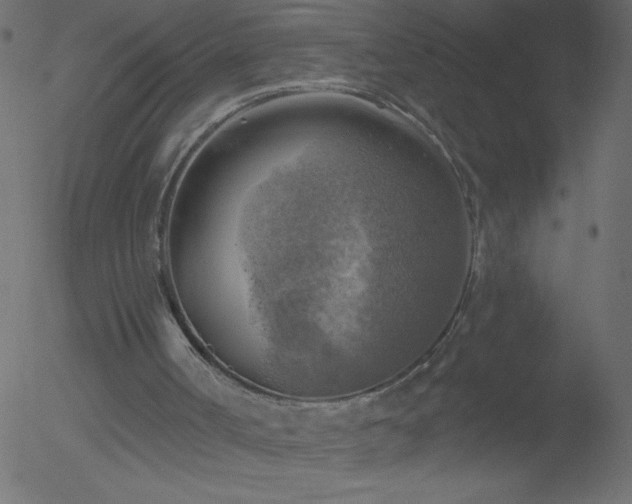 X0000052570002200507011232