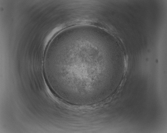 X0000052570003200507011232