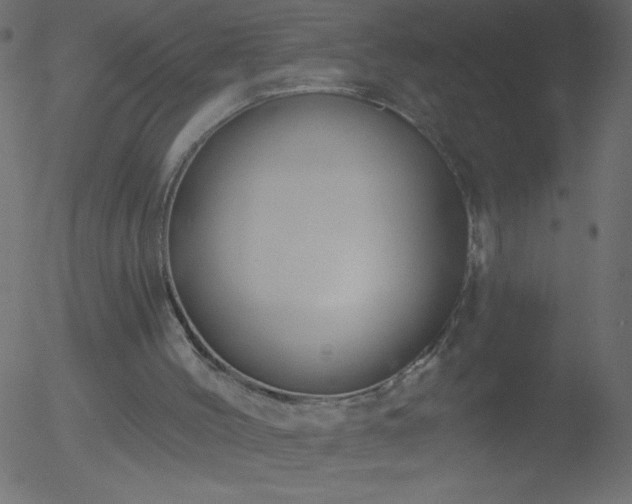 X0000052570004200507011232