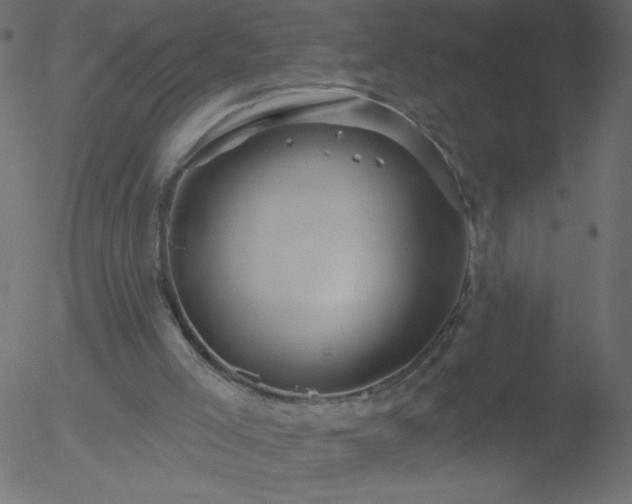 X0000052570005200507011232