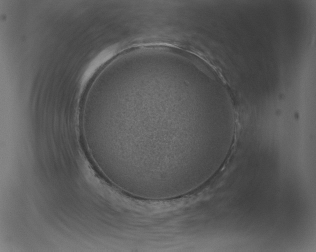 X0000052570006200507011232