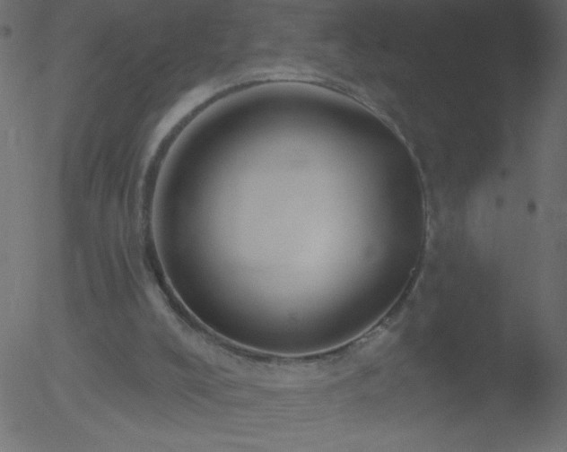 X0000052570008200507011232