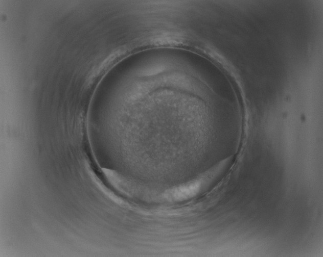 X0000052570009200507011232