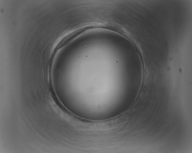 X0000052570011200507011232