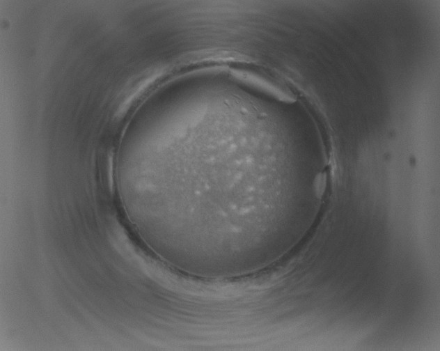 X0000052570014200507011232