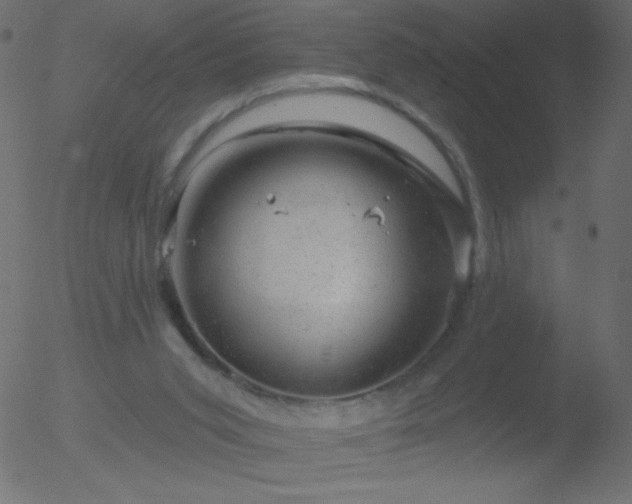 X0000052570015200507011232