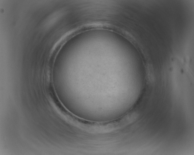 X0000052570016200507011232