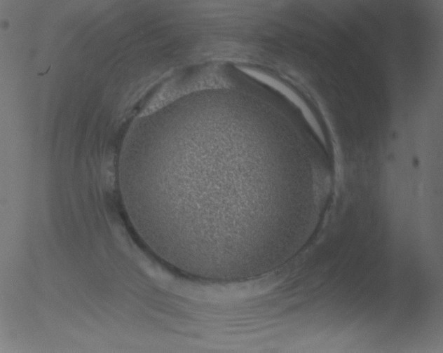 X0000052570017200507011232