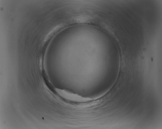 X0000052570019200507011232