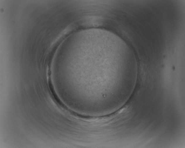 X0000052570020200507011232