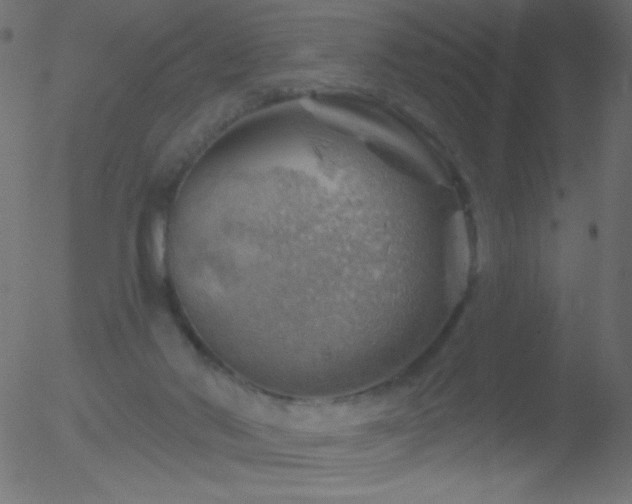 X0000052570022200507011232