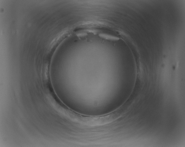 X0000052570023200507011232