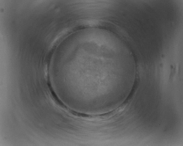 X0000052570024200507011232