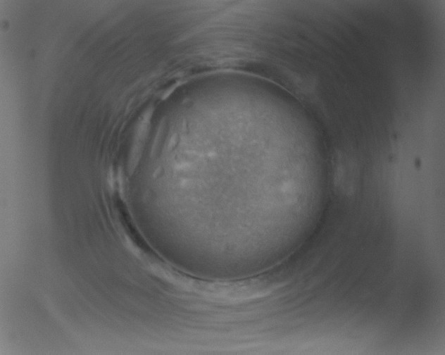 X0000052570026200507011232