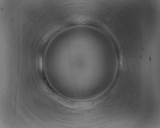 X0000052570027200507011232