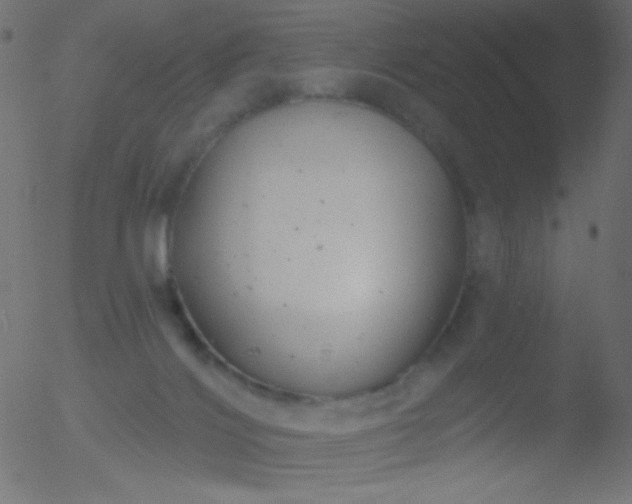 X0000052570028200507011232