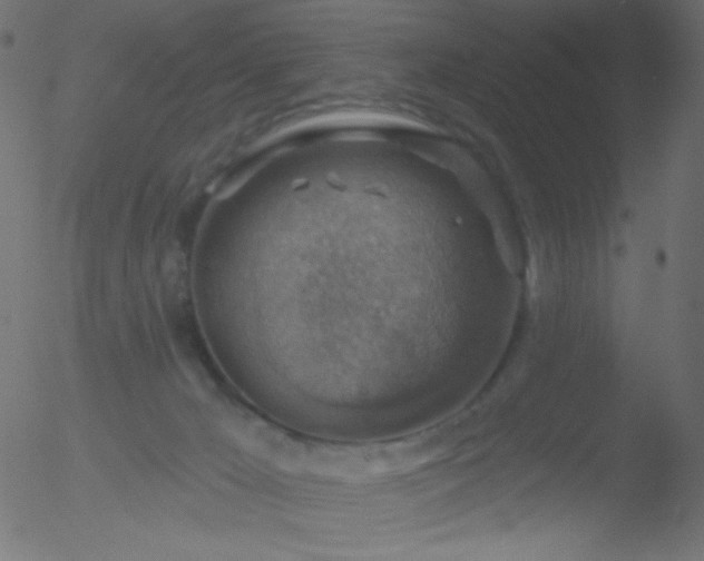 X0000052570029200507011232