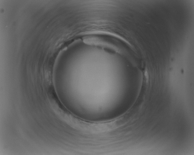 X0000052570031200507011232