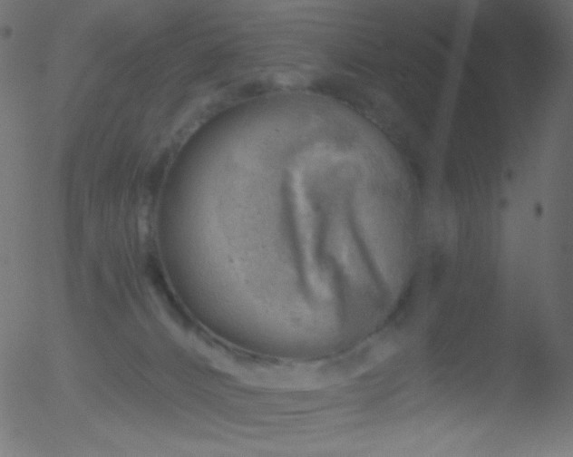 X0000052570032200507011232