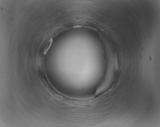 X0000052570033200507011232