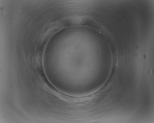 X0000052570035200507011232