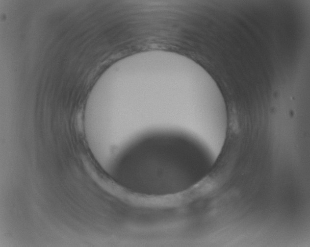 X0000052570036200507011232