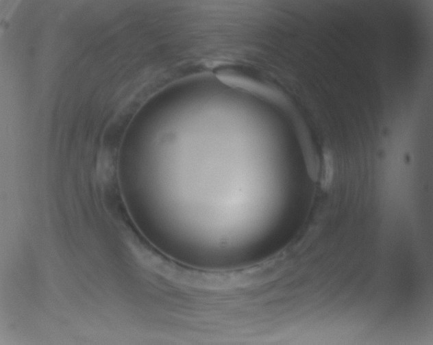 X0000052570037200507011232