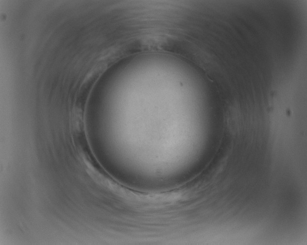 X0000052570038200507011232