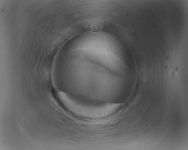 X0000052570039200507011232